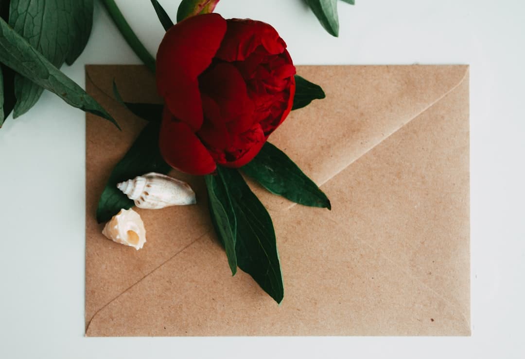 Uma carta de amor para iluminar seu dia inteiro